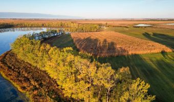 43353 258th St, Bridgewater, SD 57319