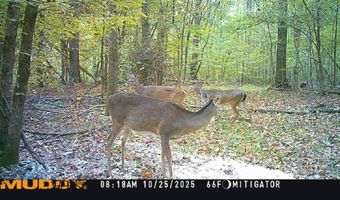 1 8 Miles Due South Down Anding Oil City Rd, Bentonia, MS 39040