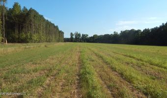 Co Rd 247, Bruce, MS 38915
