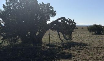 Juniperwood Ranch lot 52, Ash Fork, AZ 86320