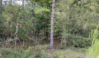 Putnam Avenue lot 30, Alford, FL 32420