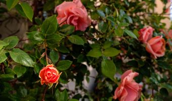 927 CAMINO VISTA RIO, Bernalillo, NM 87004