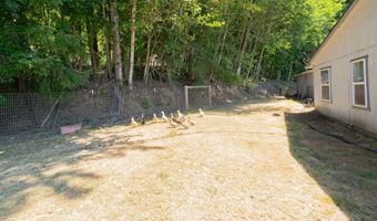 308 SADDLE Rd, Amboy, WA 98601