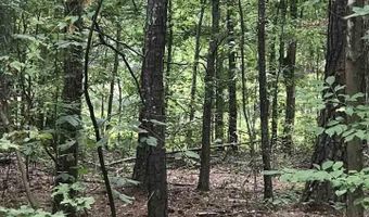 LAKESIDE LANE lot 19, Alpine, AL 35014