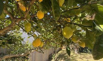 500 VELOPA Ct, Brookings, OR 97415