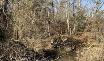 Delancey Road, Braxton, MS 39044