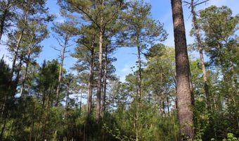 Ruffner Road 00, Barnesville, GA 30204