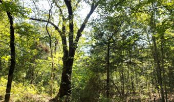 7 N Hall Rd, Antlers, OK 74523