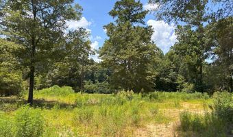 0 CR-215, Ariton, AL 36311