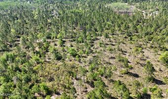 NW Miller Road, Altha, FL 32421