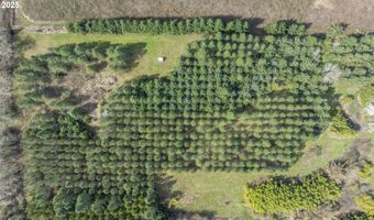 Three Trees Ln, Amity, OR 97101