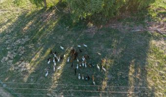 885 Th Rd, Bassett, NE 68714