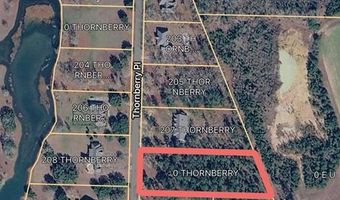 209 Thornberry Pl, Ashford, AL 36312