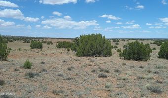 Tbd Ranch of the White Mountains, Concho, AZ 85924