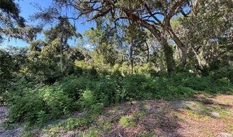 14155 NE 47TH Ave, Anthony, FL 32617