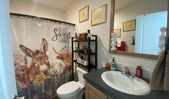 1030 Excelsior Ln, Challis, ID 83226