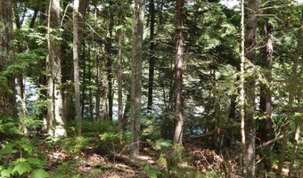 Pine Cliff Road, Alstead, NH 03602