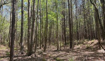 274 CR 3301, Booneville, MS 38829