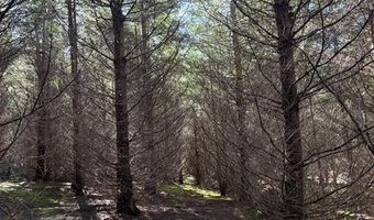 Steer Creek Rd, Blodgett, OR 97326