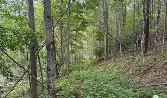 1143 Rominger Rd, Banner Elk, NC 28604