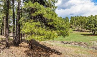 841 Beaver Creek Dr, Bayfield, CO 81122
