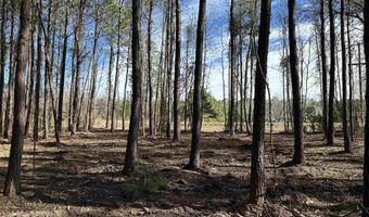 TBD County Line Rd, Andrews, SC 29510