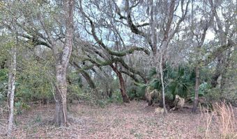 Lot 8 9 45th Ter, Chiefland, FL 32626