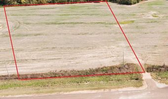 Cr 331, Banner, MS 38913