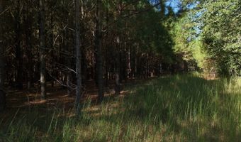 01 Goose Platter Rd, Batesburg, SC 29006