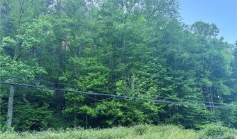 868 Bulger Rd, Alkol, WV 25501