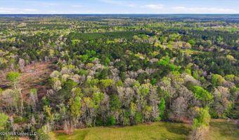 Harrisville Braxton Road, Braxton, MS 39044