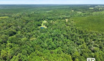 3470 Bell Fork Rd, Atmore, AL 36502