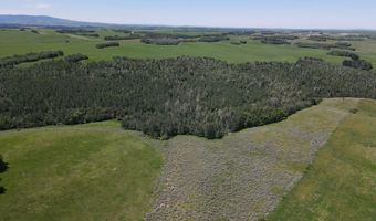 N 4600 E, Ashton, ID 83420