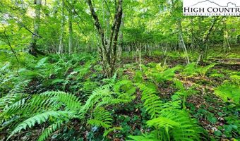 Lot 2 Sunset Way, Banner Elk, NC 28604