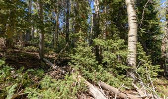 693 W Hunter Ridge Dr, Brian Head, UT 84719