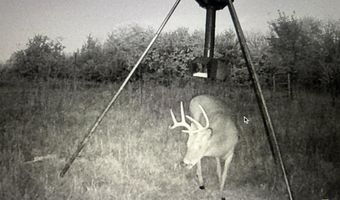 SW Davis RD, Auburn, KS 66402