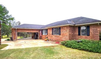 290 Long Rd, Bainbridge, GA 39817