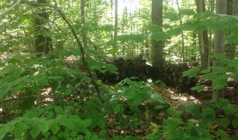 72-1 Frohock Brook Rd, Alton, NH 03810