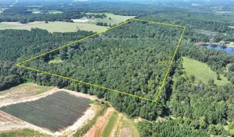 4496 State Hwy 130, Banks, AL 36005