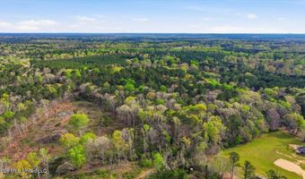 Harrisville Braxton Road, Braxton, MS 39044