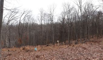 Route 12 Road, Alum Creek, WV 25003