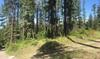 41 Quiet Rd, Athol, ID 83801