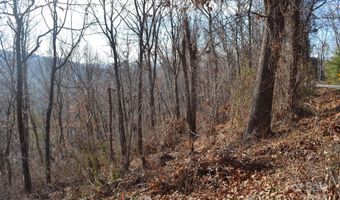 377 Elk Mountain Scenic Hwy, Asheville, NC 28804