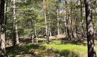 624 MOUNTAIN LION Ln, Augusta, WV 26704