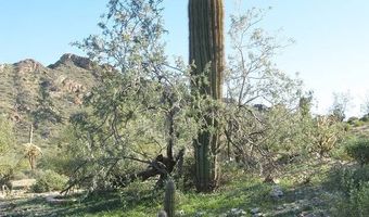 240 S Alley Rd, Ajo, AZ 85321
