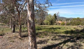 39175 Boulder Dr, Anza, CA 92539