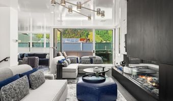 627 E Hopkins Ave, Aspen, CO 81611