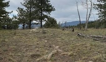 Mockingbird Trail, Bailey, CO 80421