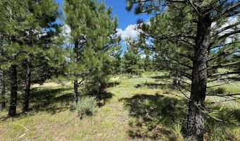 Lot 459 San Mateo, Angel Fire, NM 87710