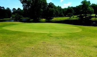461 Country Club Dr W Lot 22, Arapahoe, NC 28510